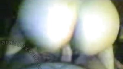 گربه سوپر یواشکی